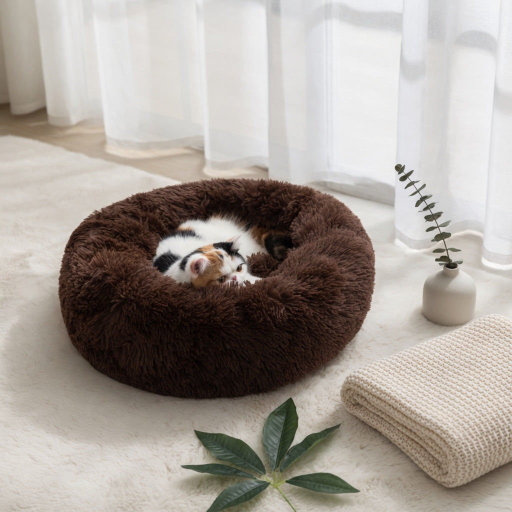 Pets deserve a real place to rest